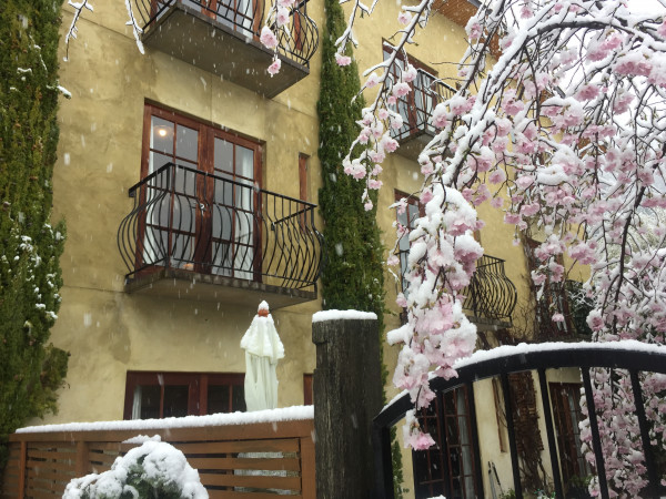 Browns Boutique Hotel winter front